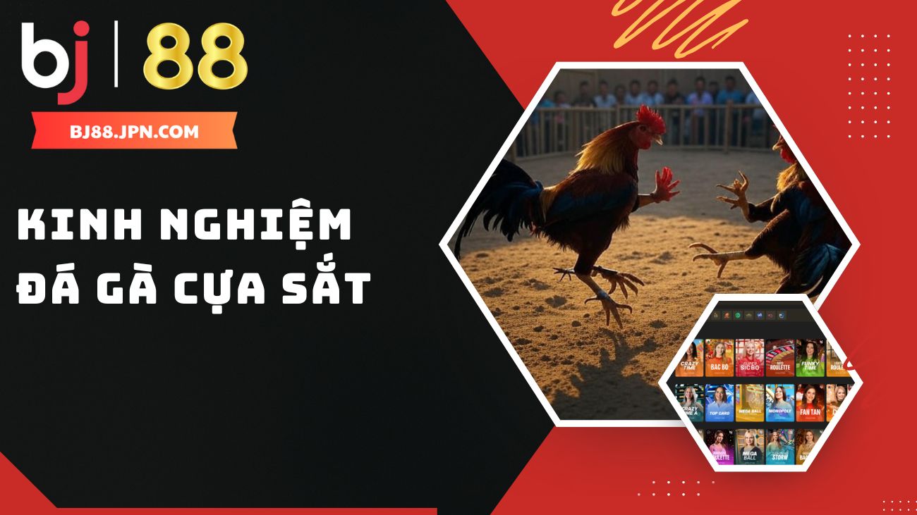 Kinh nghiệm đá gà cựa sắt hiệu quả năm 2025 1 Kinh nghiệm đá gà cựa sắt Bj88