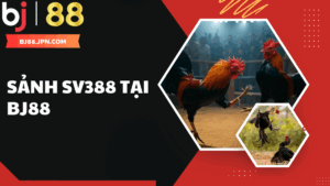 Sảnh SV388 – Tâm điểm đá gà trực tuyến hàng đầu tại BJ88